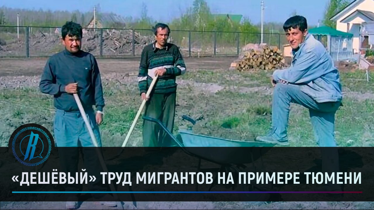 «Дешёвый» труд мигрантов на примере Тюмени.