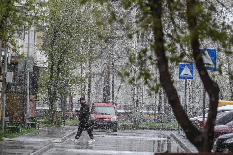 Обильный снегопад возможен в  Тюмени и 5 мая. Ожидается понижение ночной температуры воздуха до минус 2 градусов.